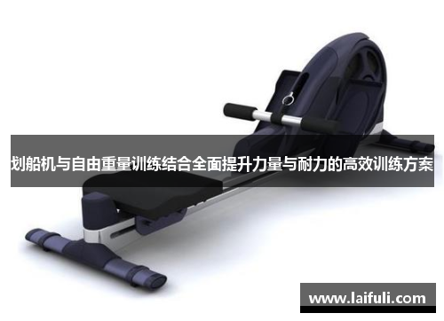 划船机与自由重量训练结合全面提升力量与耐力的高效训练方案
