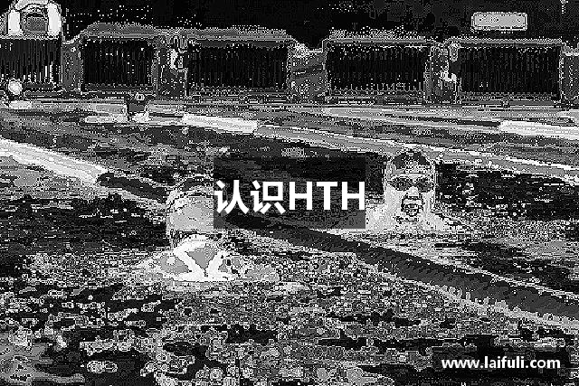 认识HTH